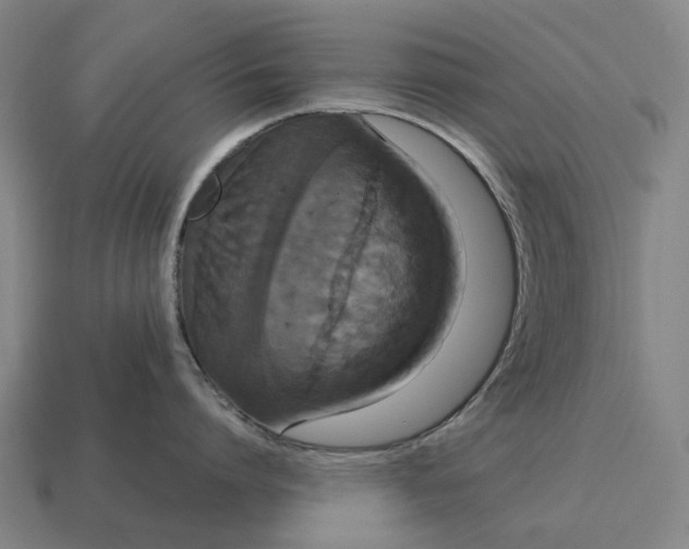 X0000115120864200911101625