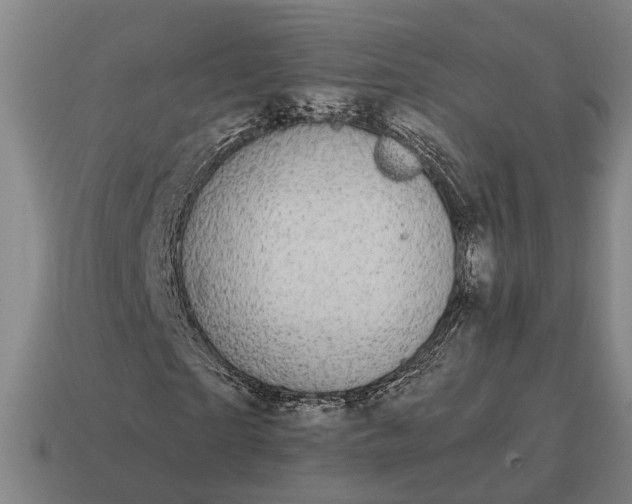 X0000115120865200911101624