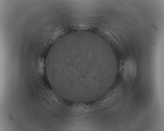 X0000115120866200911101624