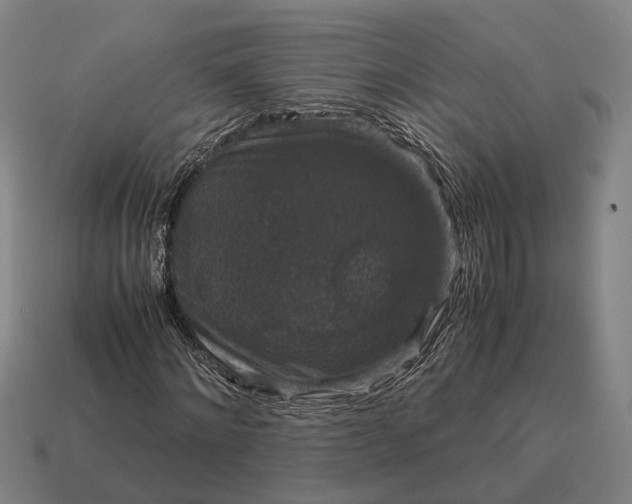 X0000115120868200911101624