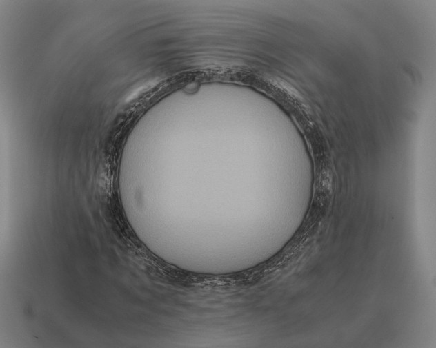 X0000115120869200911101624
