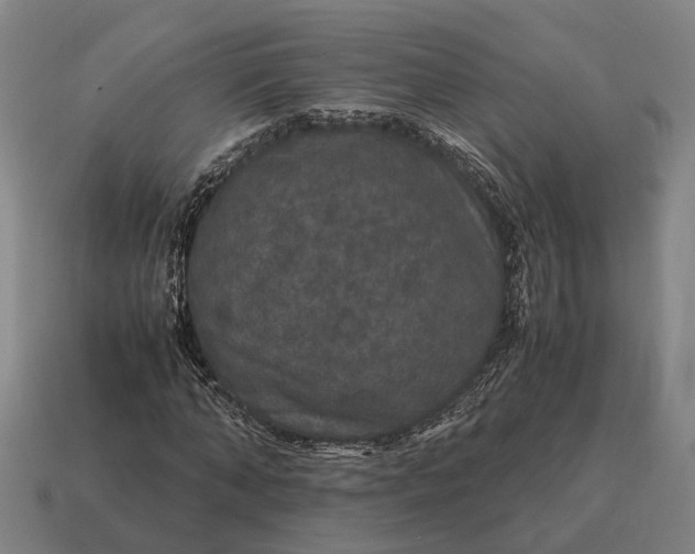 X0000115120870200911101624
