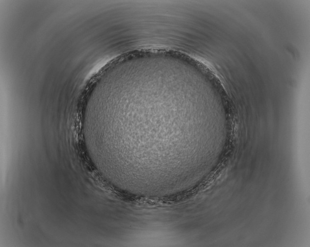 X0000115120871200911101624