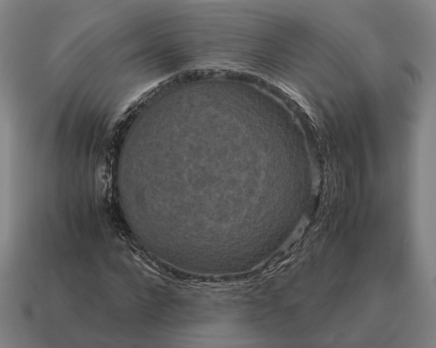 X0000115120872200911101624