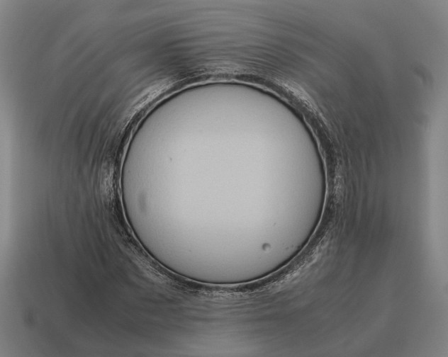 X0000115120873200911101624