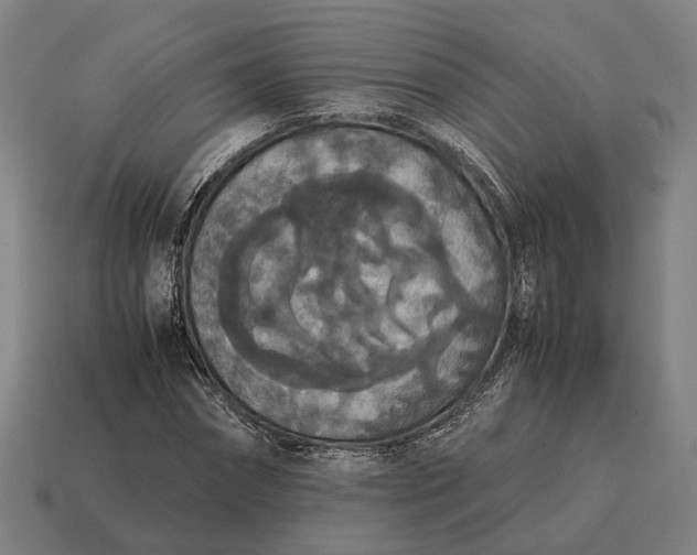 X0000115120874200911101624