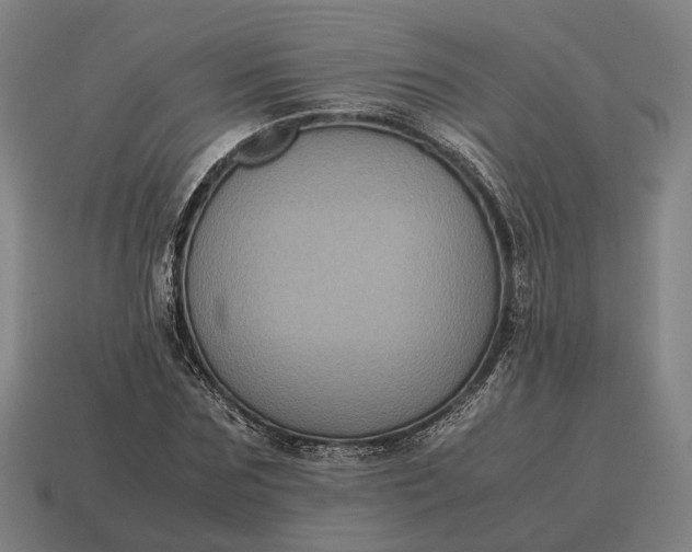 X0000115120875200911101624