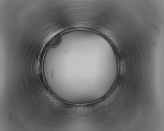 X0000115120876200911101624