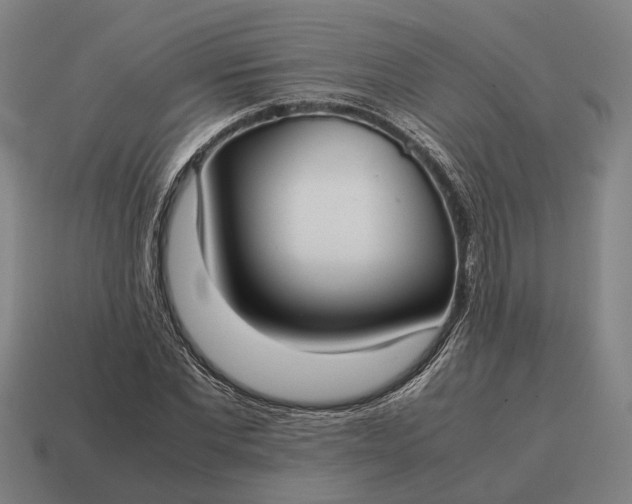 X0000115120877200911101624