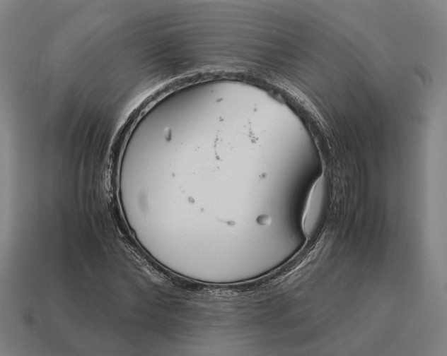 X0000115120878200911101624