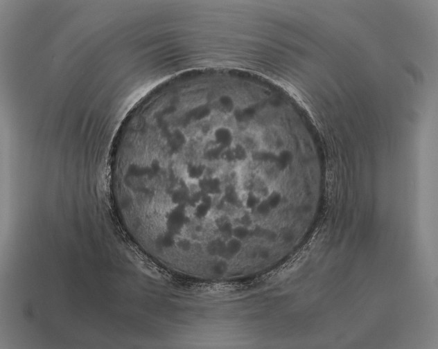 X0000115120879200911101624