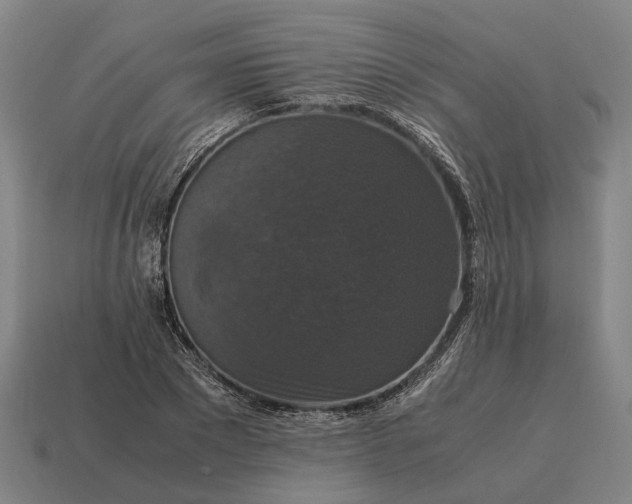 X0000115120881200911101624