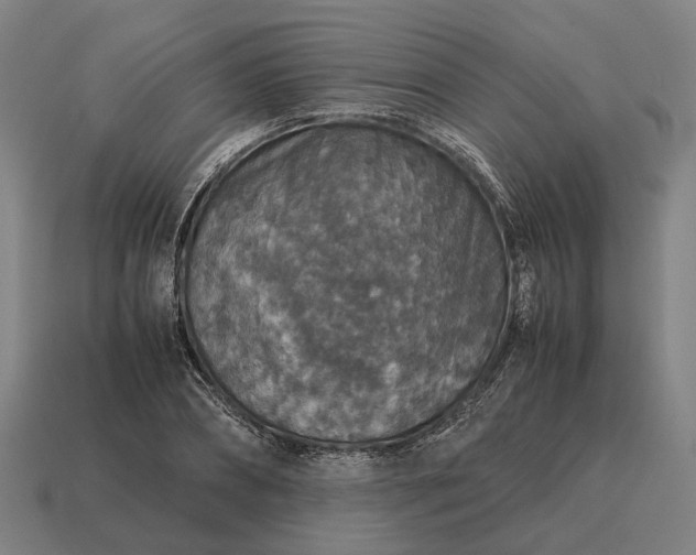 X0000115120882200911101624