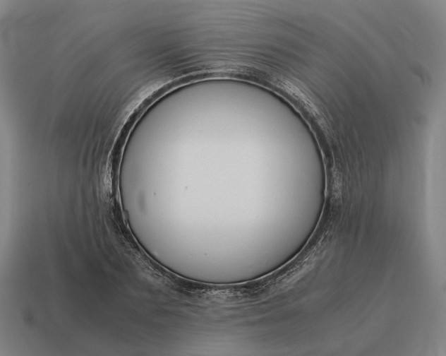 X0000115120883200911101624