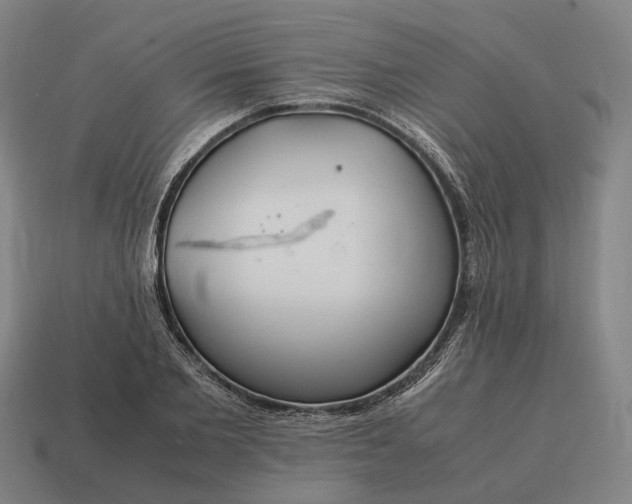 X0000115120885200911101624