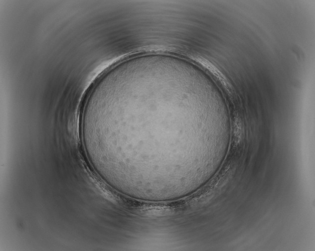 X0000115120886200911101624