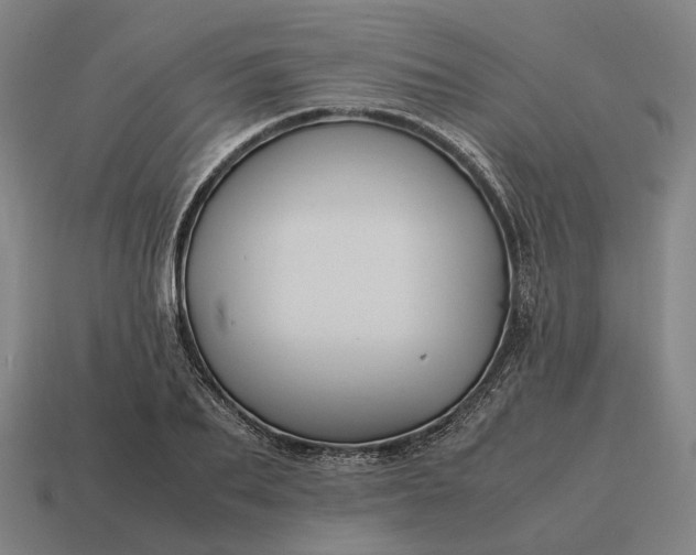 X0000115120887200911101624