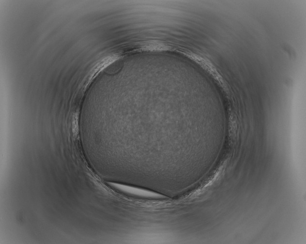 X0000115120889200911101624