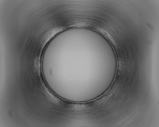 X0000115120890200911101624