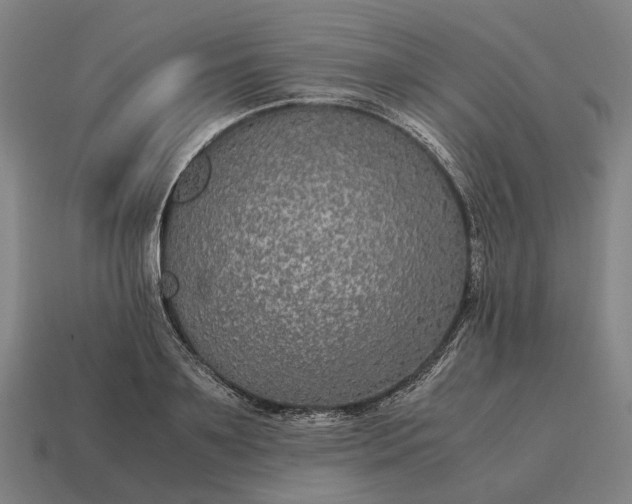 X0000115120891200911101624