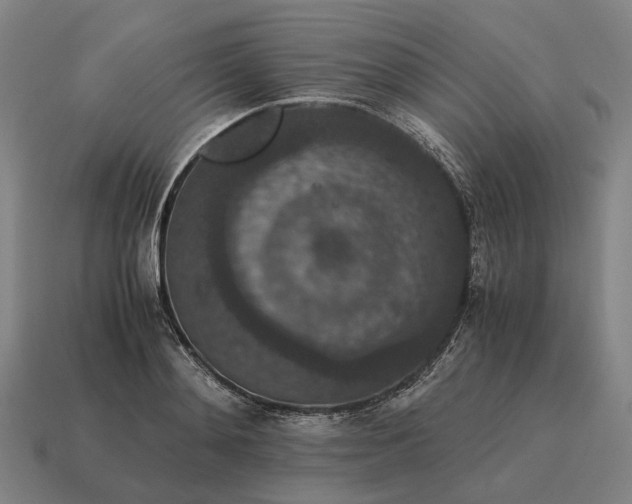 X0000115120892200911101624