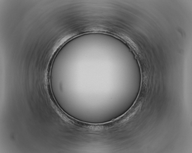X0000115120893200911101624