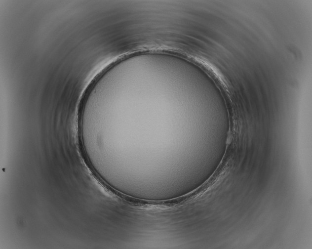 X0000115120894200911101624