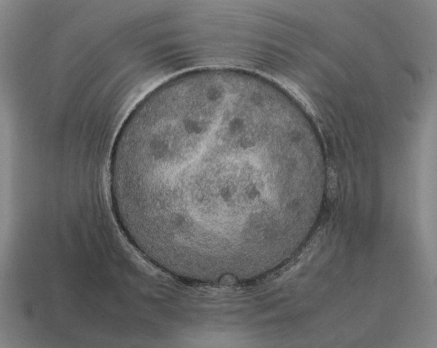 X0000115120895200911101624