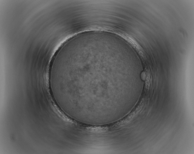 X0000115120896200911101624