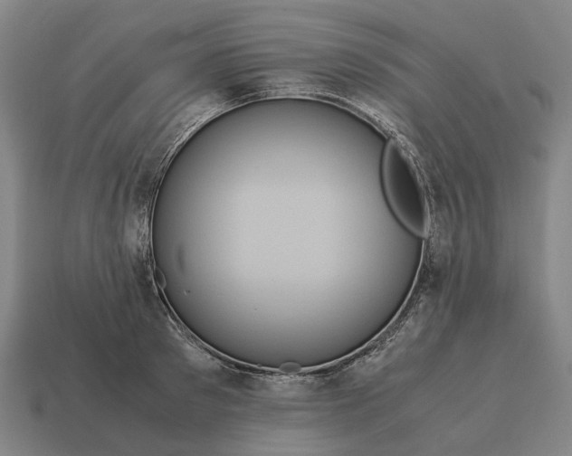 X0000115120897200911101624