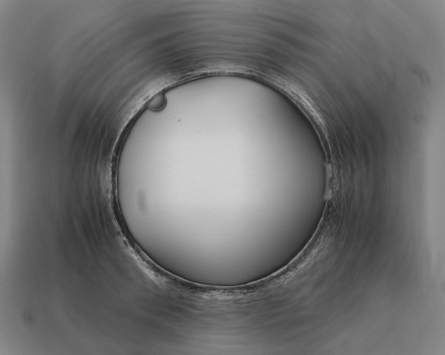 X0000115120898200911101624