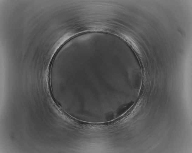 X0000115120899200911101624