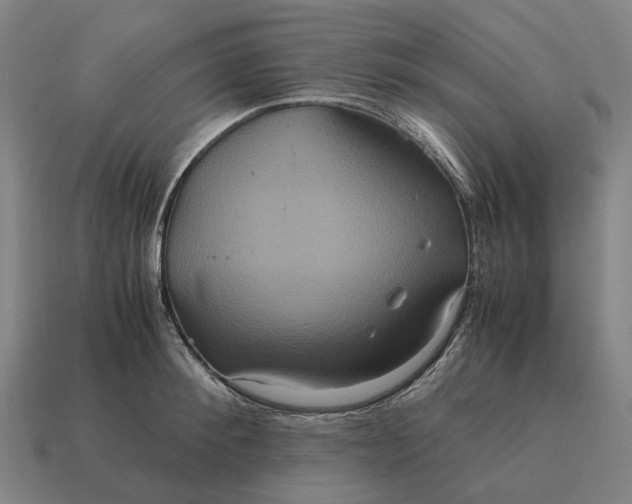 X0000115120900200911101624