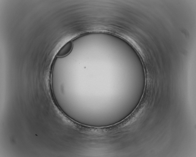 X0000115120901200911101624