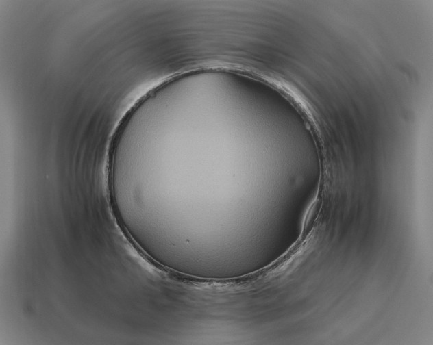 X0000115120902200911101624