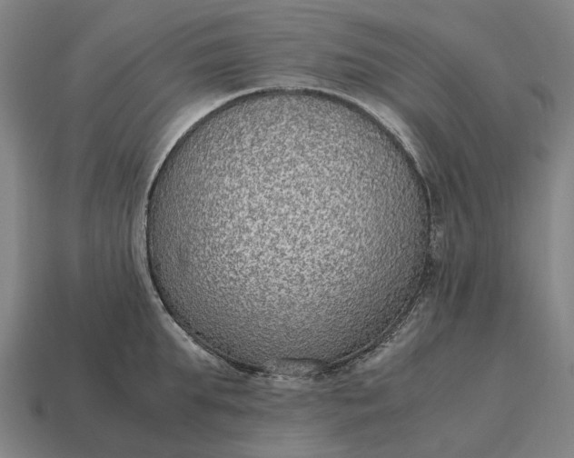 X0000115120903200911101624