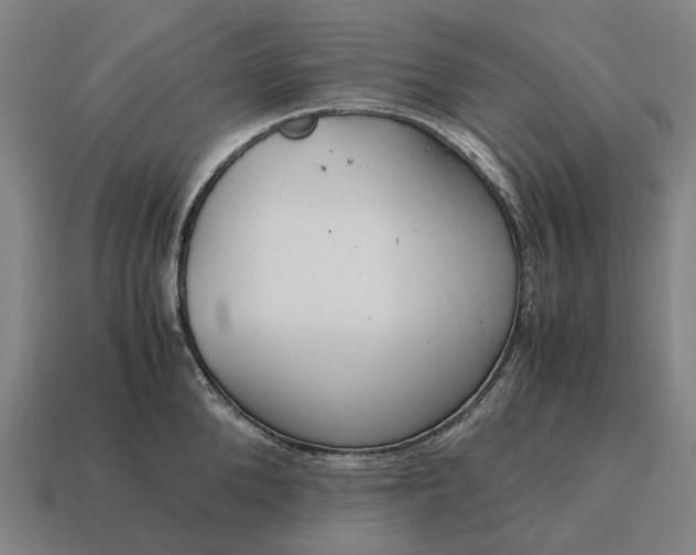 X0000115120904200911101624