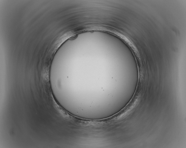 X0000115120905200911101624
