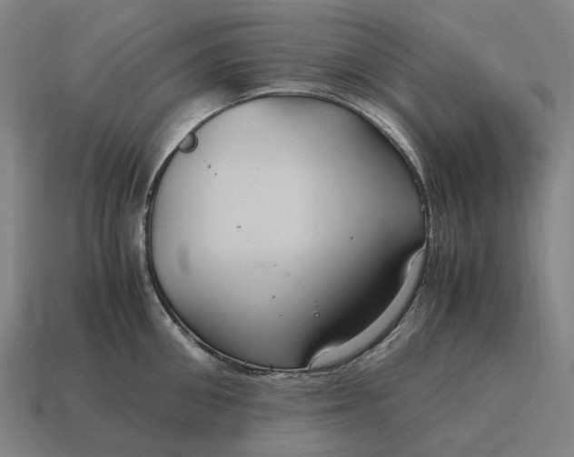 X0000115120906200911101624