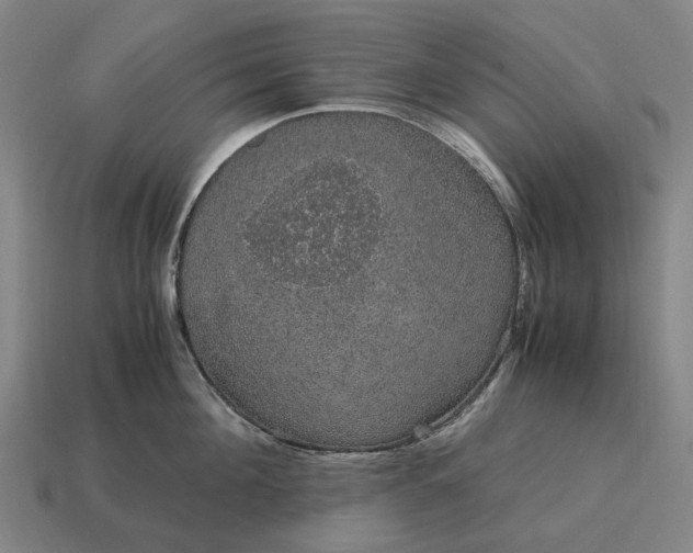 X0000115120908200911101624