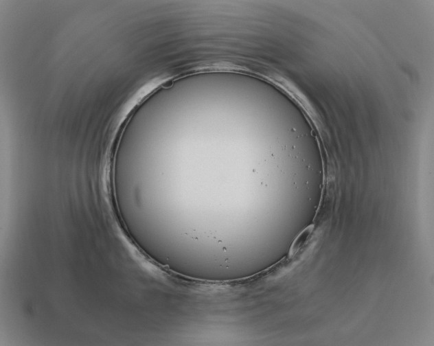 X0000115120909200911101624
