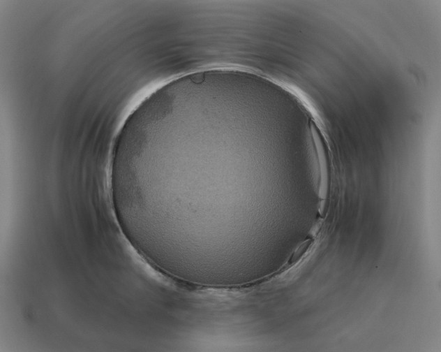 X0000115120910200911101624