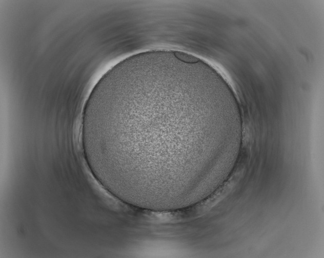 X0000115120911200911101624