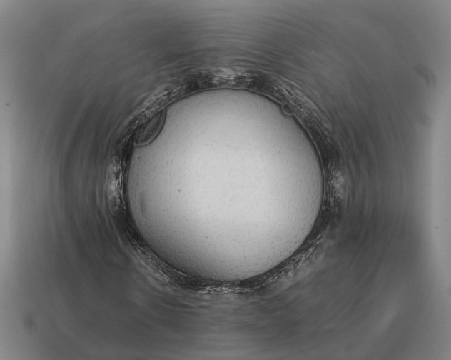 X0000115120914200911101623