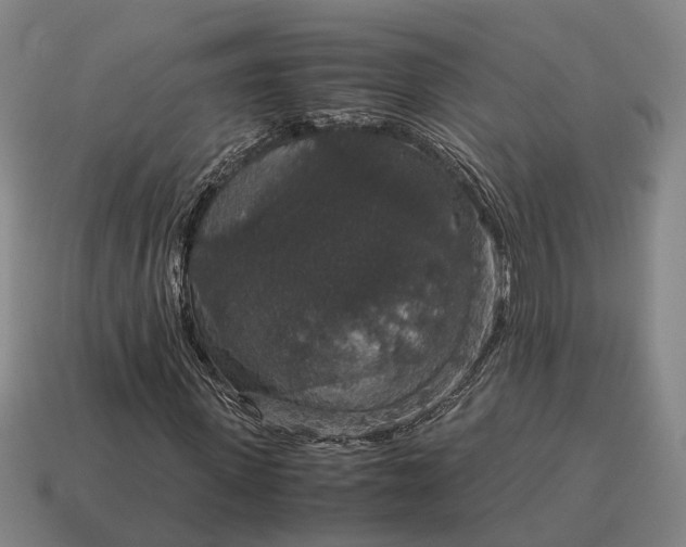 X0000115120915200911101623
