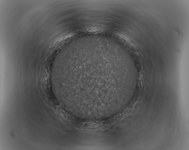 X0000115120917200911101623