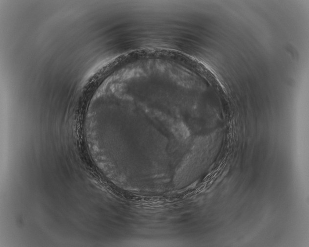 X0000115120919200911101623