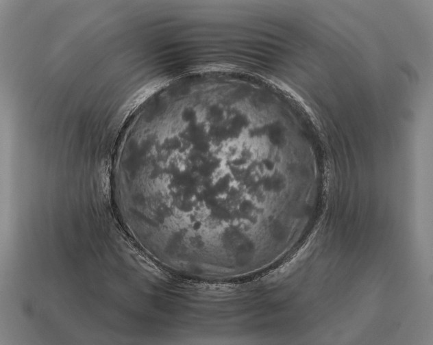 X0000115120921200911101623