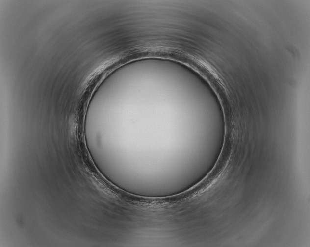 X0000115120922200911101623