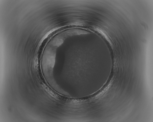 X0000115120923200911101623